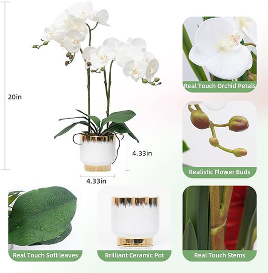 CXGS Orchids Artificial Flowers Real Touch Fake Flowers in Ceramic Pot 20" White Faux Orchid Plant Lifelike Silk Phalaenopsis for Centerpiece Hotel Home Indoor Decor