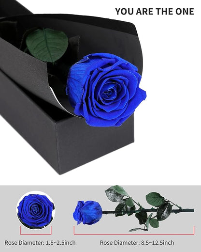 Blue Flowers for Delivery Prime, Preserved Blue Roses Flower Gifts for Women, Real Roses Single Rose Gifts for Her, Mom Birthday Gifts from Daughter, Valentines Flowers