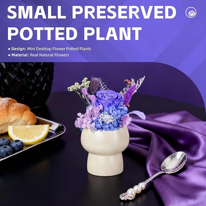 Preserved Floral Gift Set, Everlasting Rose in Small Ceramic Pot - Lasting Beauty for Home Table Decor, Mother's Day, Valentine's Day, Birthday, and Anniversary (Purple)