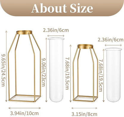 Sziqiqi Metal Flower Vase Table Decor - Gold Frame Vase with Glass Test Tubes 8"/10" Modern Bud Vase for Coffee Table Living Room Abstract Geometric Art Vase for Rose Hydroponic Plant Pampas