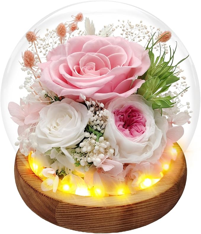 Preserved Rose Forever Flowers in Glass Dome Gifts for Women, Long-Lasting Real Flowers，Red Eternal Rose Birthday Gifts for Mom Valentines Day Anniversary for Wife Girlfriend