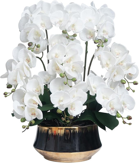 CXGS Orchids Artificial Flower Real Touch Faux Orchid in Large Ceramic Vase 23.6'' Realistic White Fake Phalaenopsis Floral Arrangements Centerpiece Table Home Indoor Decor