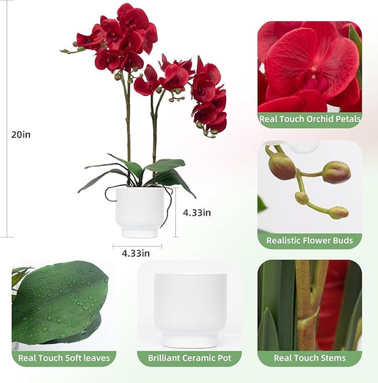 CXGS Orchids Artificial Flowers Real Touch Fake Flowers in Ceramic Pot 20" Red Faux Orchid Plant Lifelike Silk Phalaenopsis for Centerpiece Hotel Home Indoor Decor