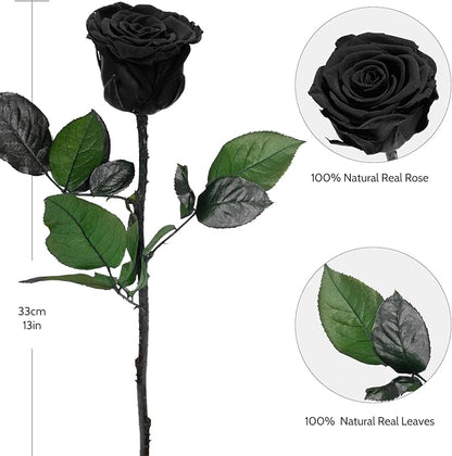 Yamonic Preserved Flowers Rose Gifts for Mom Grandma, Mothers Day Flowers Gifts for Mom, Real Flower Rose Birthday Gifts for Women,Her, Wife,Girlfriend Gifts on Christmas,Valentine's Day,Anniversary