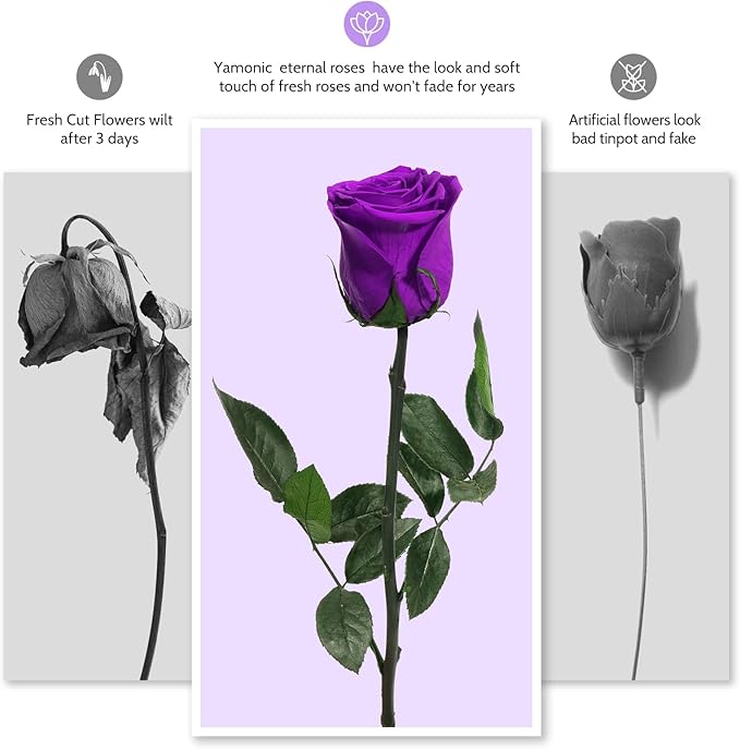 Yamonic Preserved Flowers Rose Birthday Gifts for Mom Women,Mothers Day Rose Flowers Gifts for Mom, Real Flower Mom Gifts for Grandma, Wife, Girlfriend Gifts for Christmas,Valentine's Day,Anniversary