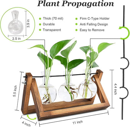 Plant Propagation Station, Plant Terrarium with Wooden Stand, Unique Gardening Birthday Gifts for Women Plants Lovers, Home Office Garden Decor Planter - 3 Bulb Glass Vases