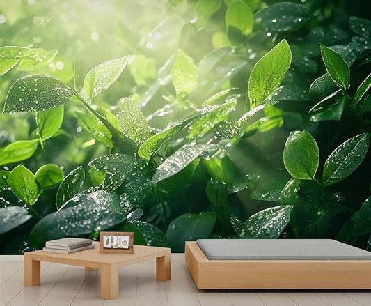 Dewdrops Green Leaf Wall Mural, Botanical Forest Sunlight 3D Wall Murals, Refreshing Nature Wallpaper Mural, for Living Room Bedroom Large Wallpaper Indoor Decor 157.5" W x110.3 H