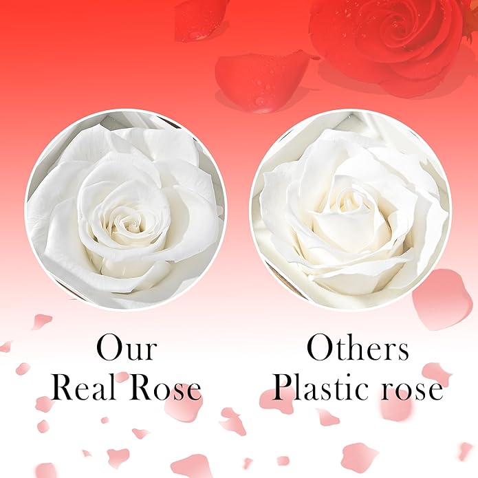 ‌TINGKU Eternal Real Rose Gift Box for Women, Preserved Rose with Customized Name Engraved Heart Necklace, Personalized Romantic Gift for Wife, Girlfriend, Mom, Mother's Day Love Keepsake