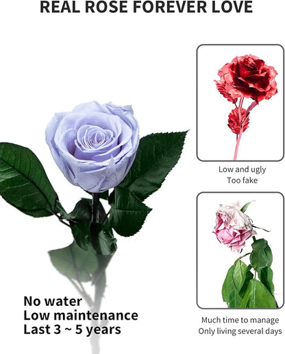 Blue Flowers for Delivery Prime, Preserved Blue Roses Flower Gifts for Women, Real Roses Single Rose Gifts for Her, Mom Birthday Gifts from Daughter, Solid Lilac Roses