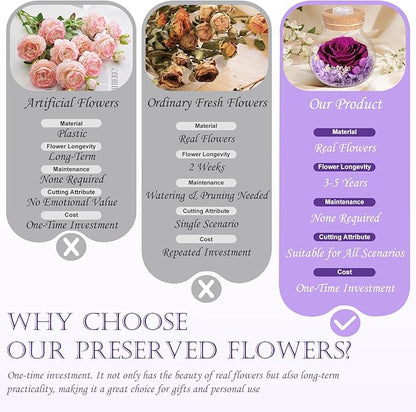 Christmas Birthday Gifts for Women Mom Preserved Purple Rose Eternal Forever Flower in Glass Wishing Bottle with LED Light Flowers for Delivery Prime for Grandma Wife Sister Friend from Daughter