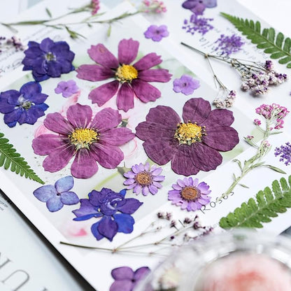 30Pcs Dried Pressed Natural Flowers for Resin Molds Real Pressed Flowers Dry Leaves Bulk Natural Herbs Kit for DIY Scrapbooking Art Crafts Jewelry Molds Candle Soap Making Nails Decor (Purple)