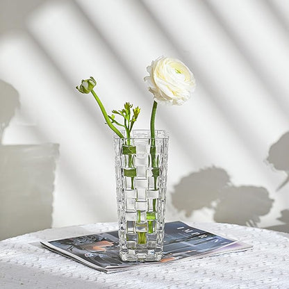 Clear Glass Vase for Flowers Square Embossed Rectangle 6in High Glass Bud Vases Small Vase for Flowers Plant Terrarium Candle Holder Water Glasses for Wedding Centerpiece Office Table, Rattan