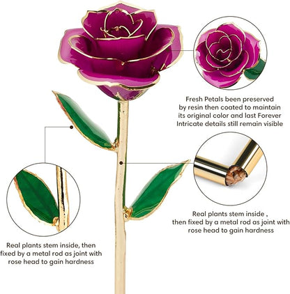 Gold Dipped Infinity Rose Last Forever Flower Decor, Birthday Gift for Women in Her Birthday Mothers Day, Resin Preserved Rose | Anniversary Present for Mom (Purple)