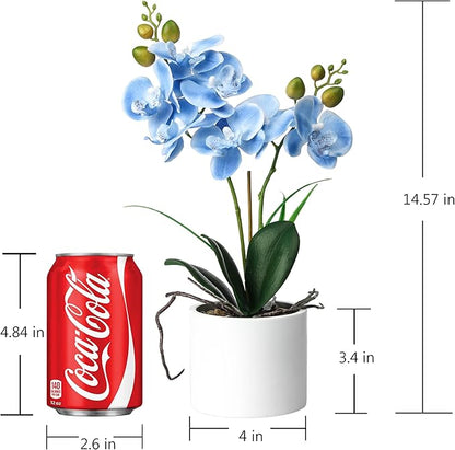 Jusdreen Artificial Blue Orchid in Ceramic Pot, Realistic Phalaenopsis Arrangement with Potting for Home Office Table Decor, 14.5 Inch Flower Centerpiece