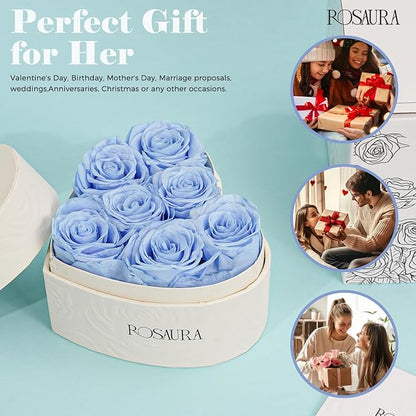 Rosaura Heart-Shaped Preserved Roses Gift Box - Real Forever Flowers for Birthday, Valentine's & Mother's Day (Sky Blue, 7 roses)