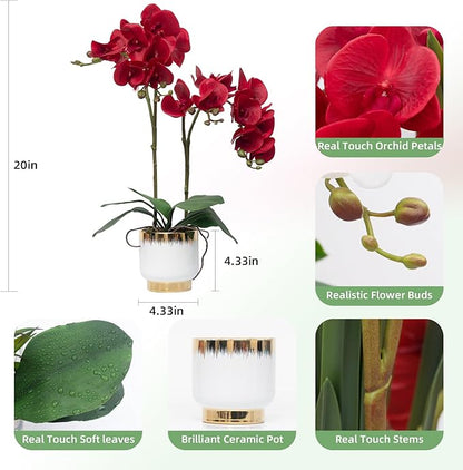 CXGS Orchids Artificial Flowers Real Touch Fake Flowers in Ceramic Pot 20" Red Faux Orchid Plant Lifelike Silk Phalaenopsis for Centerpiece Hotel Home Indoor Decor