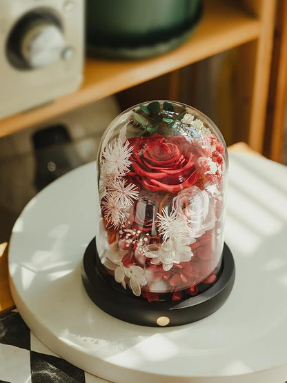 FIACO Preserved Flowers Christmas Rose Gifts for Women, Birthday Gifts Eternal Rose in Glass Dome Long-Lasting Real Forever Flowers Gifts for Mom Grandma Wife Girlfriend Red