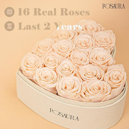 Rosaura Heart-Shaped Preserved Roses Gift Box - Real Forever Flowers for Birthday, Valentine's & Mother's Day (Champagne, 16 roses)