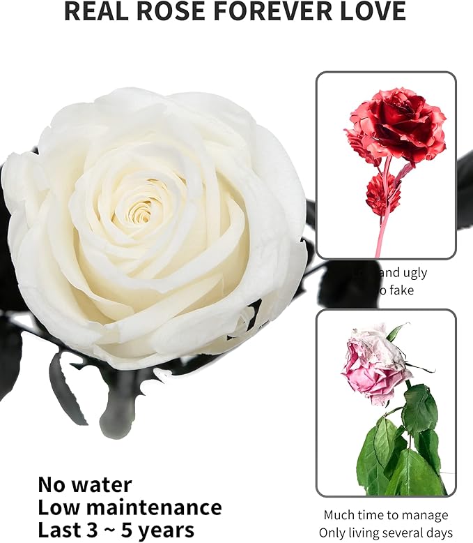 White Flowers for Delivery Prime, Preserved White Roses Flower Gifts for Women, Real Roses Single Rose Gifts for Her, Mom Birthday Gifts from Daughter, Valentines Flowers