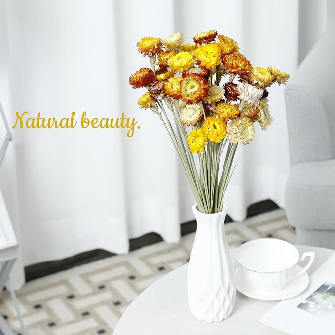 Dried Flower 40PCS Daisy Bouquet 100% Natural Chrysanthemum Dry Flower for Vase Home décor Party DIY Arrangement Wheat Straw Bulk （Multi-Color）