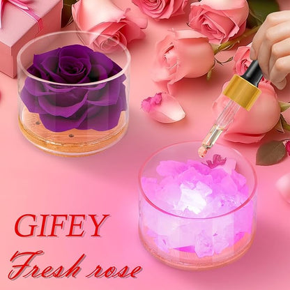 Birthday Gifts for Women,Christmas Women Gifts,Preserved Purple Rose with Lights, Preserved Flower Aromatherapy Rose Gifts for Women,Mom,Girlfriend,Wife Gifts for Christmas Valentines Day Birthday
