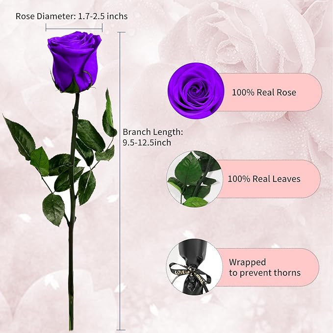 Purple Single Forever Roses in a Box,Preserved Flowers for Delivery,Preserved Rose Gifts for Women, Real Roses Gift for Her, Mom Birthday Gifts, Mothers Day Flowers,Valentines Flowers