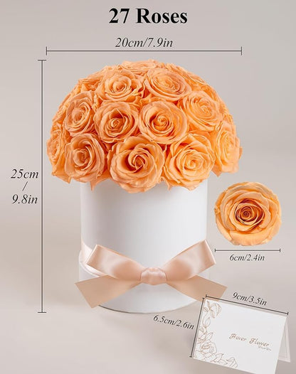 27 Forever Roses Dome in White Box, Eternal Real Roses Gifts for Women, Preserved Flowers for Delivery Prime, Anniversary, Valentine's Day, Christmas, Birthday for Her (Champagne)