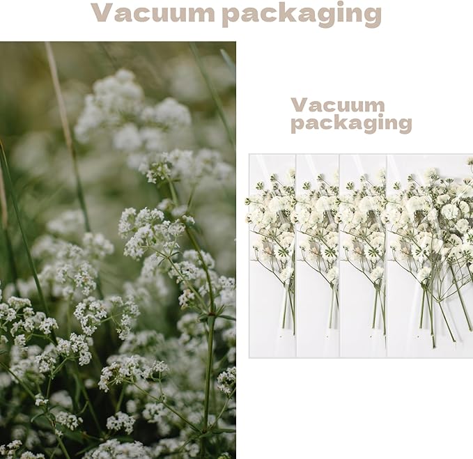 CONVELIFE Dried Babys Breath White, 48pcs Dried Flowers for Resin Pressed from Natural Flowers, Natural Pressed Flowers for Wedding Resin Art Craft DIY Card Making Home Party Decor (White)