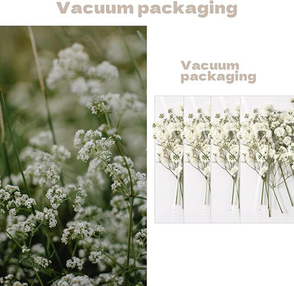 CONVELIFE Dried Babys Breath White, 48pcs Dried Flowers for Resin Pressed from Natural Flowers, Natural Pressed Flowers for Wedding Resin Art Craft DIY Card Making Home Party Decor (White)