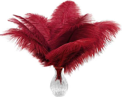 Piokio 20pcs Natural Claret Ostrich Feathers 10-12 inch (25-30cm) Bulk Feathers for Home Decoration and DIY Clothing and DIY Clothes Decoration, Gatsby Decorations