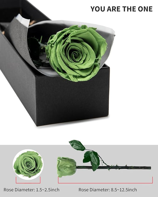 Green Flowers for Delivery Prime, Preserved Green Roses Flower Gifts for Women, Real Roses Single Rose Gifts for Her, Mom Birthday Gifts from Daughter, Valentines Flowers