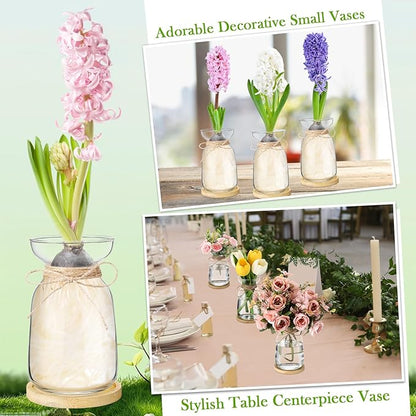4 Sets Hyacinth Glass Vase with Bamboo Coaster Rope Hyacinth Avocado Growing Bud Vase Decorative Glass Flower Vases for Centerpieces Bulb Forcing Plant Containers Home Office Table Decoration