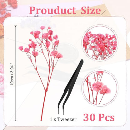 PATIKIL Mini Dried Gypsophila Flower Kit, 30Pcs 4 Inch Light Pink Natural Pressed Floral Bundles with Tweezer for DIY Resin Crafts Gift Wedding Christmas Card Decor Flower Bouquets