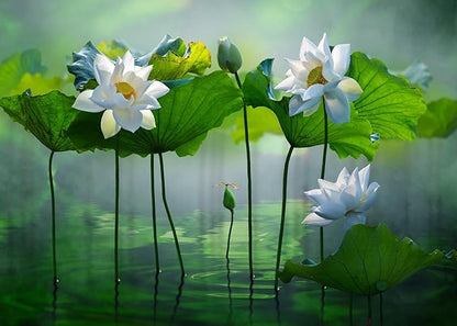 BELECO 10x6.5ft Fabric Lotus Flower Backdrop Lotus Garden Blooming White Lotus Flowers Pond Background Wall Decor Photo Booth Shoot Studio Props Wallpaper
