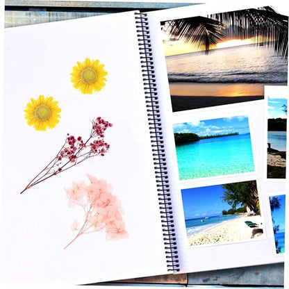 Natural Dried Flowers DIY Craft Kit Real Flower Bouquet Accessories for Photo Frame Making Floral Decorations for Wedding Home Party and Interior Styling