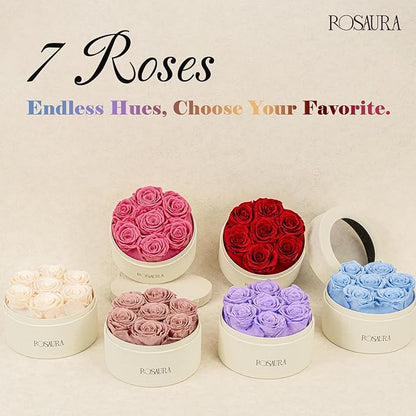 Rosaura Round Preserved Roses Gift Box - Real Forever Flowers for Birthday, Valentine's & Mother's Day (Champagne, 7 Roses)