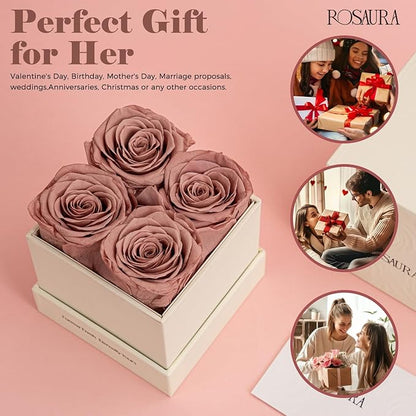 Rosaura 4-Piece Eternal Preserved Roses & Flowers Gift Box - Forever Lasting Real Roses, Preserved Flowers for Valentine's Day Cappuccino