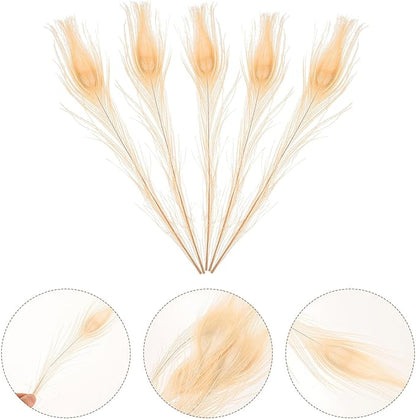 Artibetter 5Pcs Natural White Iridescent Plumes for DIY Crafts Wedding Party Decor Sterilized Plumage Accessories for Home Decoration Costume Floral Arrangements and Hair Accessories