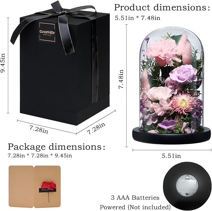 Preserved Roses,Forever Fresh Flowers 7.48in,Gift for Women,Mom,Grandma,Wife,Girlfriend,Sister,and Daughter Perfect for Birthday,Mother’s Day,Valentine’s Day (Sweetheart Carnation4)