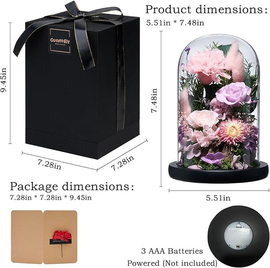 Preserved Roses,Forever Fresh Flowers 7.48in,Gift for Women,Mom,Grandma,Wife,Girlfriend,Sister,and Daughter Perfect for Birthday,Mother’s Day,Valentine’s Day (Sweetheart Carnation4)