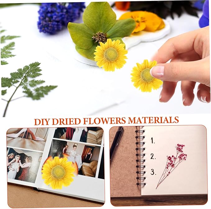 Natural Dried Flowers DIY Craft Kit Real Flower Bouquet Accessories for Photo Frame Making Floral Decorations for Wedding Home Party and Interior Styling