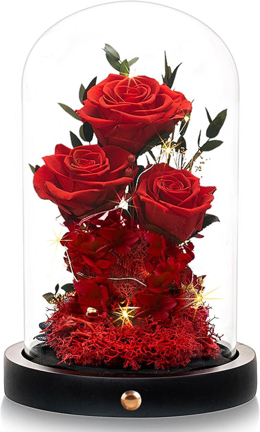 Christmas Flowers Roses Gifts for Mom,Forever Real Preserved Roses in Glass Dome,Christmas Anniversary Thanksgiving Gifts for Wife Girlfriend Women Best Friend Grandma/Red Rose