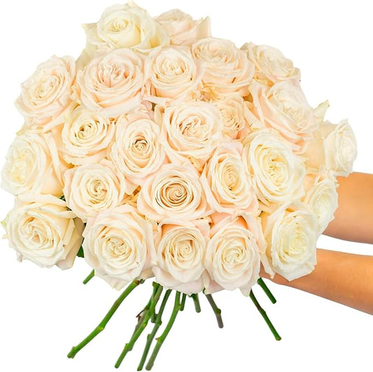 BloomsyBox - White Roses - 24 Long Stems,Long Lasting, Hand-Tied in Eco-friendly, Vase Not Included, Fresh Flowers for Delivery – Gift for Birthday, Anniversary, Get Well, Congratulations, Wedding
