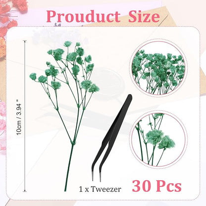 PATIKIL Mini Dried Gypsophila Flower Kit, 30Pcs 4 Inch Light Blue Natural Pressed Floral Bundles with Tweezer for DIY Resin Crafts Gift Wedding Christmas Card Decor Flower Bouquets