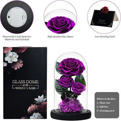 3 Preserved Flowers Roses in Glass Dome with Light for Beauty and The Beast Decor Real Rosas Eternas for Women Mom Birthday,Forever Purple Roses for Delivery, for Wife Girlfriend Her