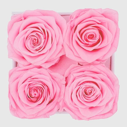 Graceful Fleurs | Real Long Lasting Roses for Years | Preserved Fresh Flowers for Delivery Birthday | Birthday Gifts for Women | Forever Roses in a Box (Pink, White Box, 4 Roses)