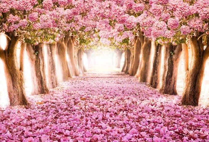 AOFOTO 10x7ft Spring Cherry Blossom Backdrop Sweet Pink Flowers Tree Floral Petal Boulevard Photography Background Wedding Photo Studio Props Girl Bride Woman Lady Mother Artistic Portrait Wallpaper