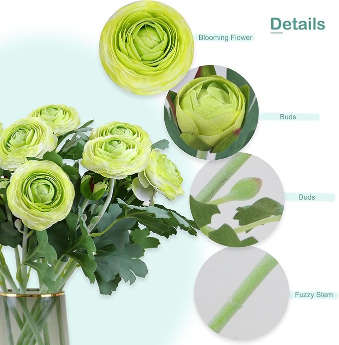 Artificial Ranunculus Flowers with Real Touch Stem,Silk Ranunculus Flowers (Green, 6pcs)