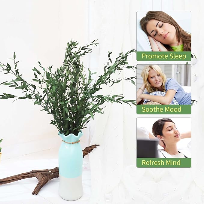 Dried Eucalyptus Leaves Preserved Greenery Stems, 8-14 PCS Eucalyptus Garland Branches, 4 OZ Green Leaves Plant Bundle for Wedding Wreath Party Home Decor Vase Filler