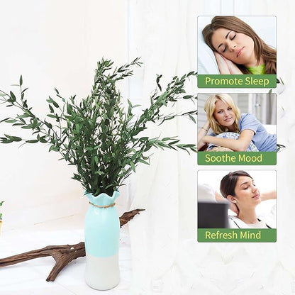 Dried Eucalyptus Leaves Preserved Greenery Stems, 8-14 PCS Eucalyptus Garland Branches, 4 OZ Green Leaves Plant Bundle for Wedding Wreath Party Home Decor Vase Filler